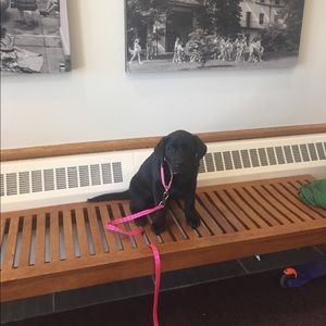 Meet your Posher, Jamie